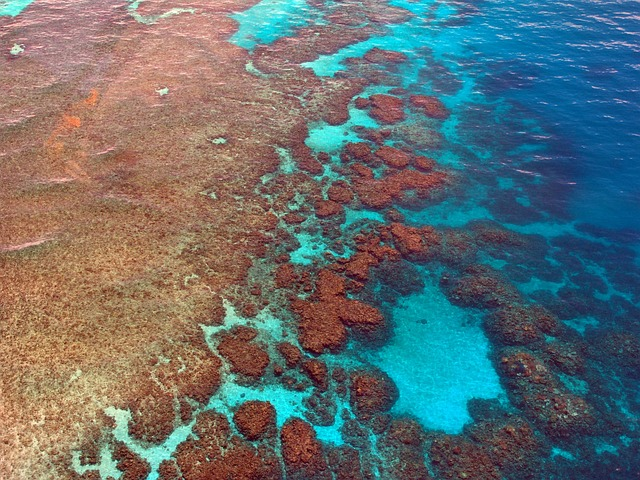 great barrier reef, dive, diving